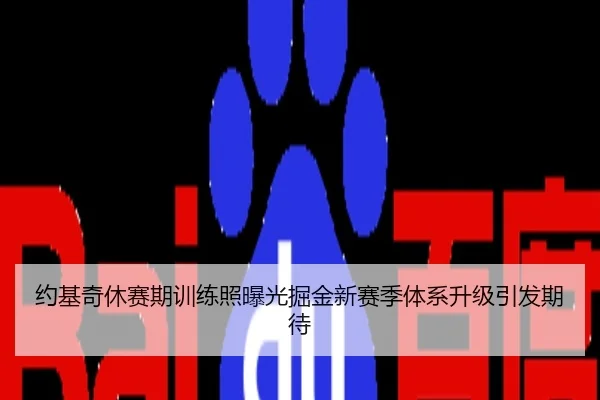 约基奇休赛期训练照曝光掘金新赛季体系升级引发期待